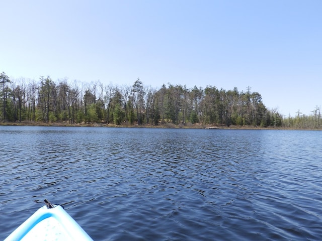 7928 Blueberry Ln, Johannesburg, MI 49751 - dock with a water view