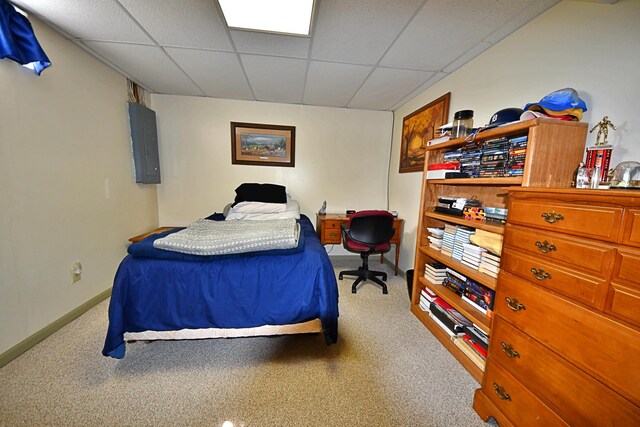 4930 Warrington Way, Gladwin, MI 48624 - bedroom with a drop ceiling, electric panel, carpet, and baseboards