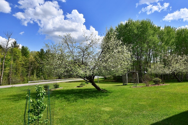 4930 Warrington Way, Gladwin, MI 48624 - view of grassy yard
