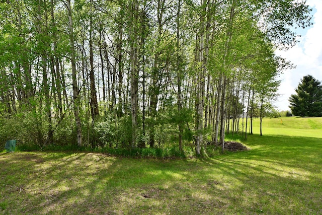 4930 Warrington Way, Gladwin, MI 48624 - view of green lawn