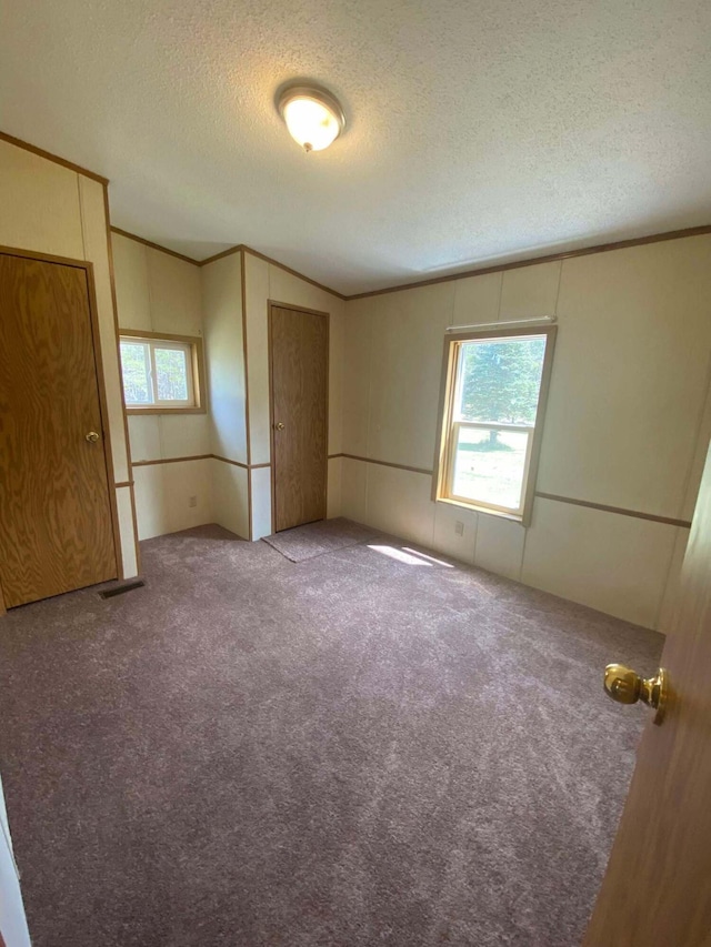 1364 Lakeview Dr, Mio, MI 48647 - unfurnished bedroom with a textured ceiling, carpet, crown molding, and a decorative wall