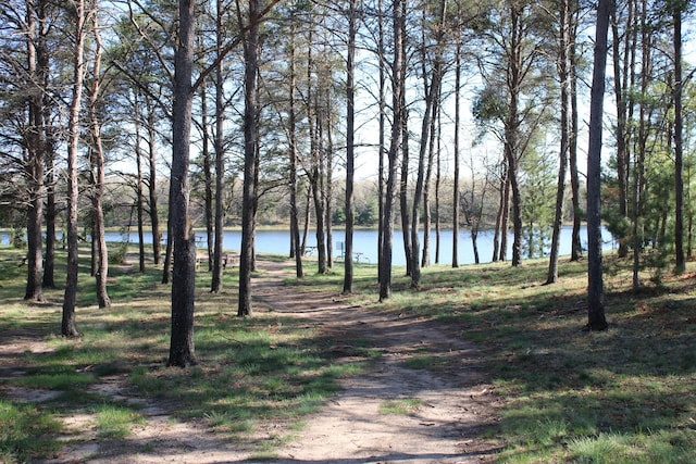 1364 Lakeview Dr, Mio, MI 48647 - water view