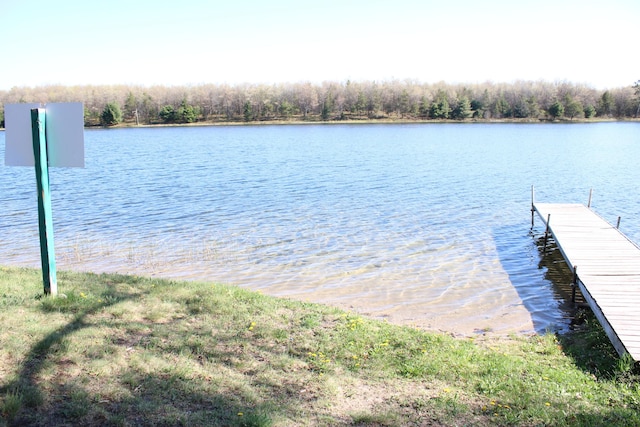 1364 Lakeview Dr, Mio, MI 48647 - dock featuring a water view