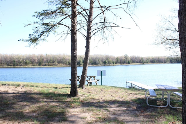 1364 Lakeview Dr, Mio, MI 48647 - water view with a forest