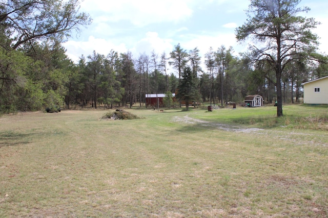 1364 Lakeview Dr, Mio, MI 48647 - view of green lawn with a storage shed and an outbuilding