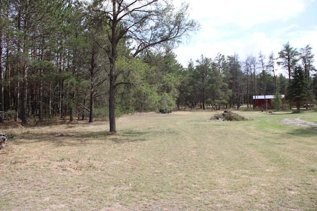 1364 Lakeview Dr, Mio, MI 48647 - view of grassy yard featuring a forest view