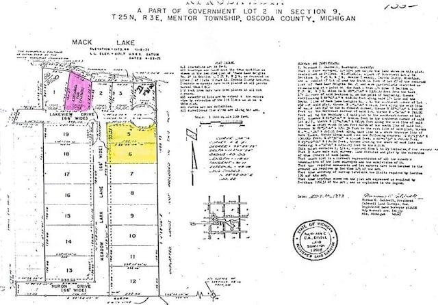 1364 Lakeview Dr, Mio, MI 48647 - map showing property parcels