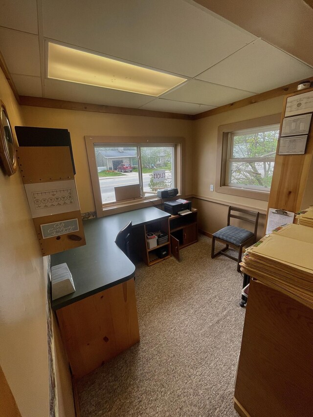 20417 State St, Onaway, MI 49765 - view of carpeted office space