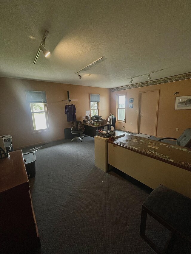 20417 State St, Onaway, MI 49765 - carpeted home office featuring healthy amount of natural light, a textured ceiling, and track lighting