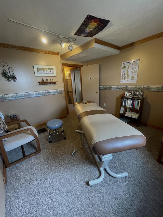 20417 State St, Onaway, MI 49765 - bedroom featuring rail lighting and carpet