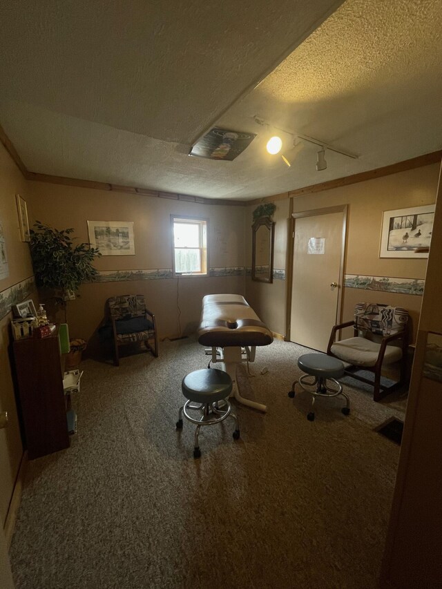 20417 State St, Onaway, MI 49765 - misc room featuring a textured ceiling, carpet, and track lighting