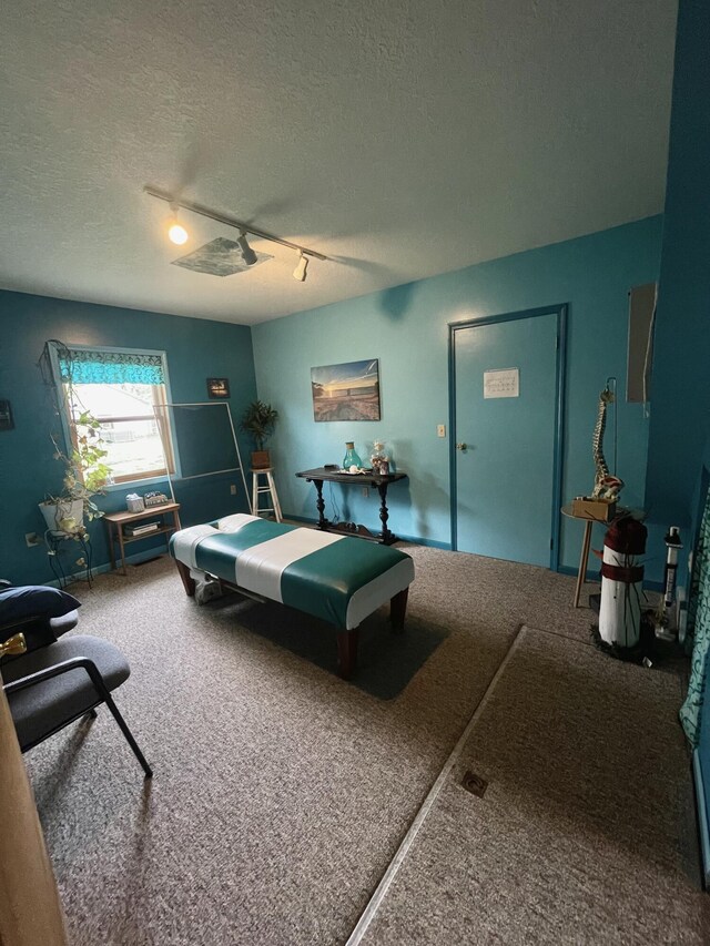 20417 State St, Onaway, MI 49765 - recreation room featuring track lighting, carpet floors, and a textured ceiling