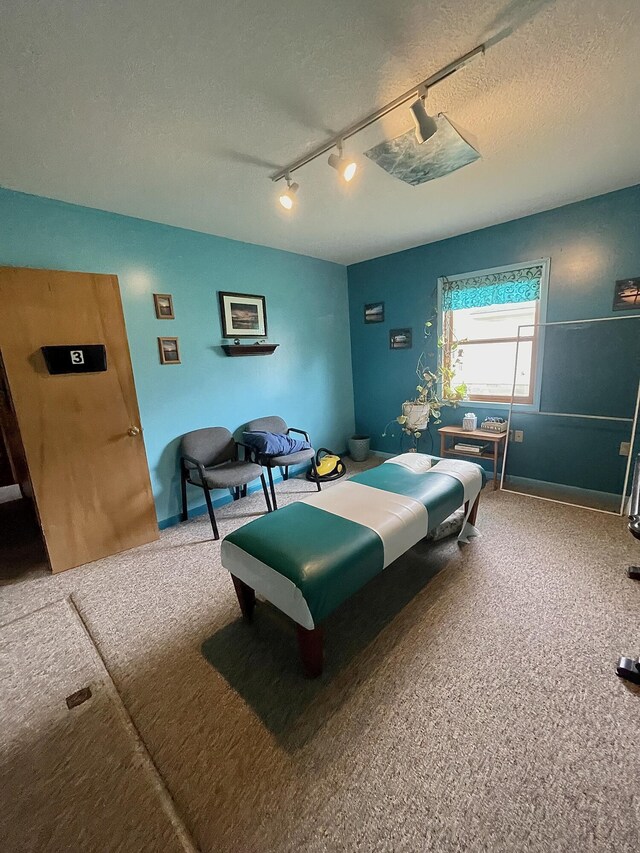 20417 State St, Onaway, MI 49765 - bedroom featuring carpet flooring, a textured ceiling, and track lighting