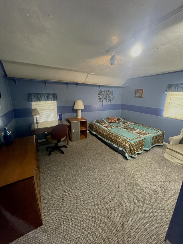 20417 State St, Onaway, MI 49765 - view of carpeted bedroom