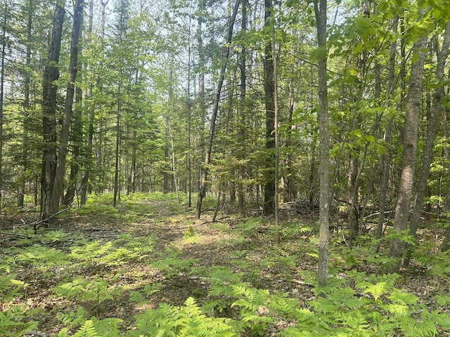 24920 E Riverside Dr, Hillman, MI 49746