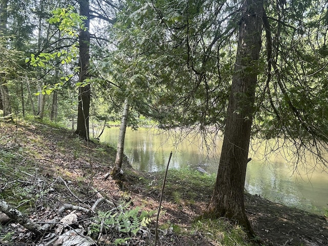 24920 E Riverside Dr, Hillman, MI 49746