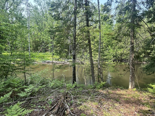 24920 E Riverside Dr, Hillman, MI 49746