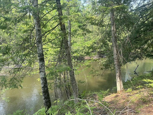 24920 E Riverside Dr, Hillman, MI 49746