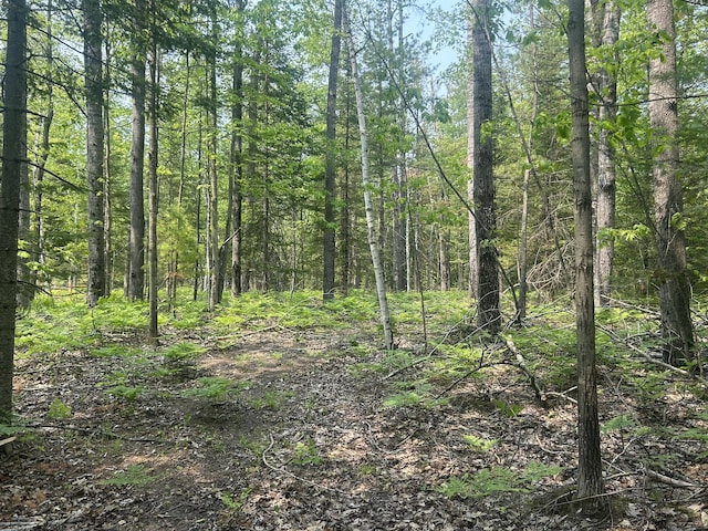24920 E Riverside Dr, Hillman, MI 49746