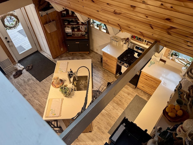 2733 Timberlane Trl, Grayling, MI 49738 - living room with wood finished floors and lofted ceiling