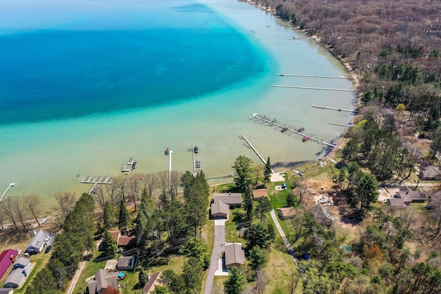 aerial view of a large body of water and a forest