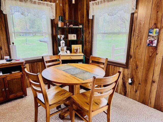 1071 Eagle Dr, Saint Helen, MI 48656 - photo 9