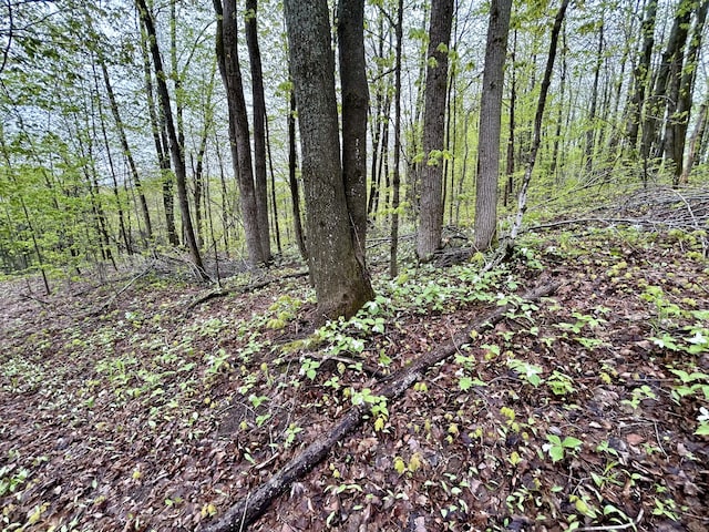 8448 Heatherton Cir, Mancelona, MI 49659 - view of woods
