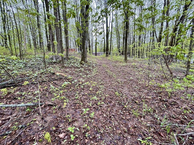 8448 Heatherton Cir, Mancelona, MI 49659 - view of woods