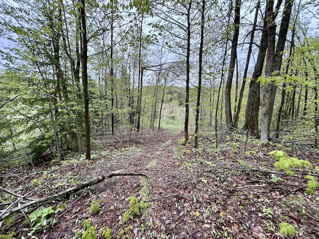 8448 Heatherton Cir, Mancelona, MI 49659 - view of wooded area