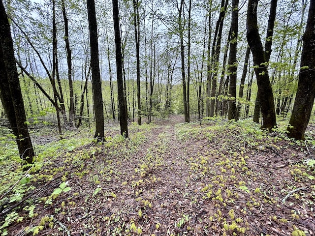8448 Heatherton Cir, Mancelona, MI 49659 - view of tree filled area