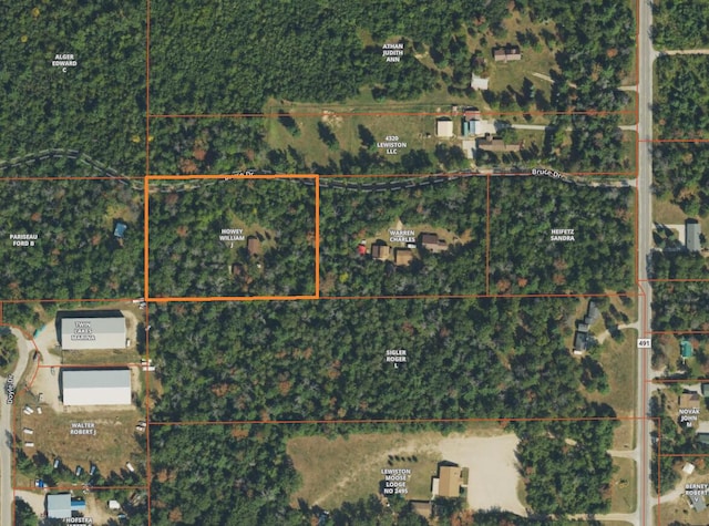 4795 Bruce Dr, Lewiston, MI 49756 - aerial view of property's location