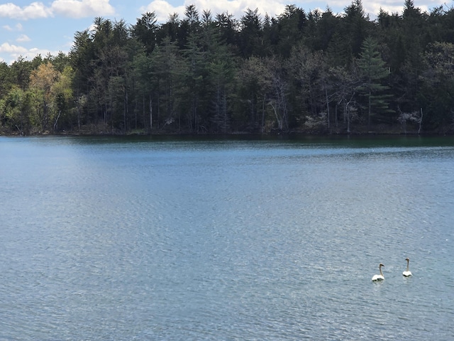 2623 W Dixon Lake Dr, Gaylord, MI 49735 - water view featuring a forest