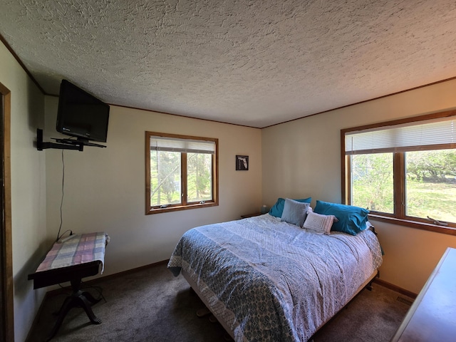 2623 W Dixon Lake Dr, Gaylord, MI 49735 - bedroom with carpet floors, multiple windows, and a textured ceiling