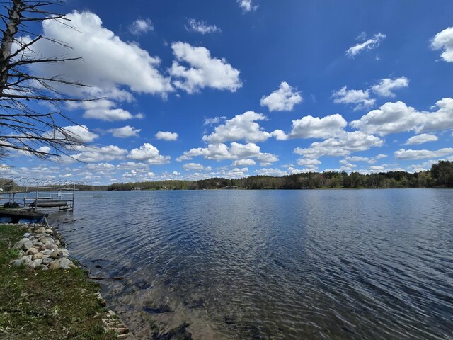 2623 W Dixon Lake Dr, Gaylord, MI 49735 - water view