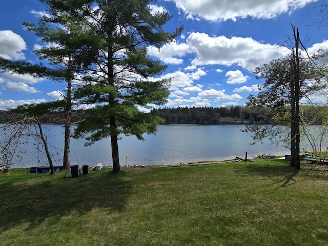 2623 W Dixon Lake Dr, Gaylord, MI 49735 - water view