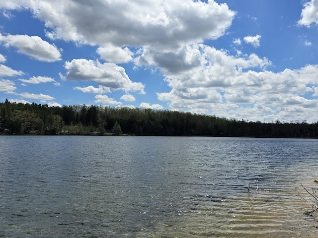 2623 W Dixon Lake Dr, Gaylord, MI 49735 - water view with a forest
