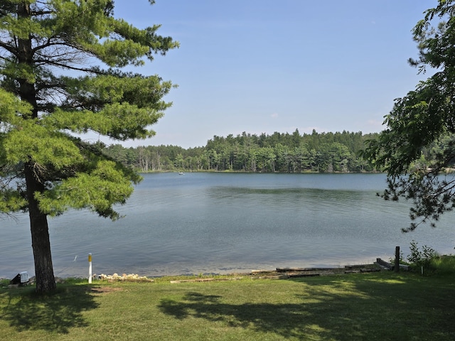 2623 W Dixon Lake Dr, Gaylord, MI 49735 - water view featuring a forest