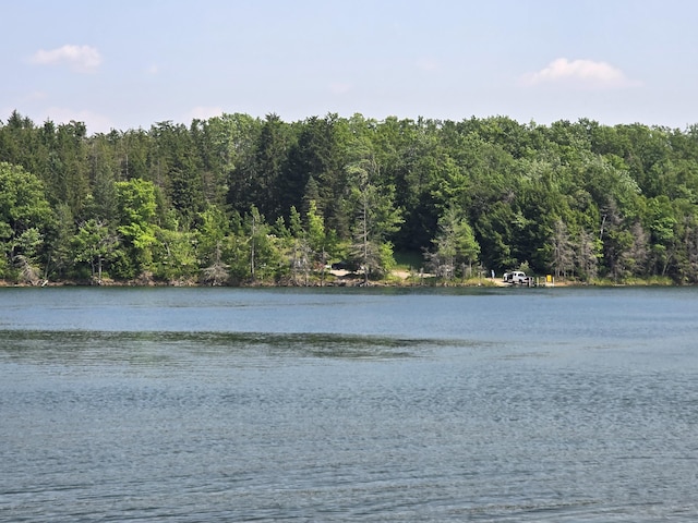 2623 W Dixon Lake Dr, Gaylord, MI 49735 - water view with a forest