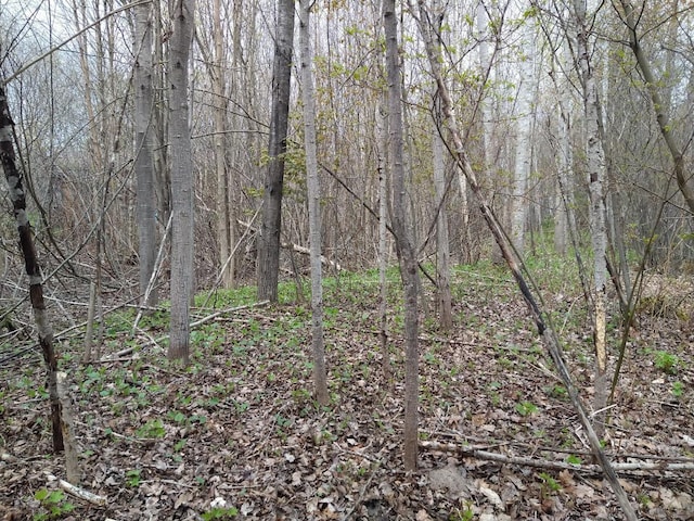 1089 Birch Rd, Alpena, MI 49707 - photo 27