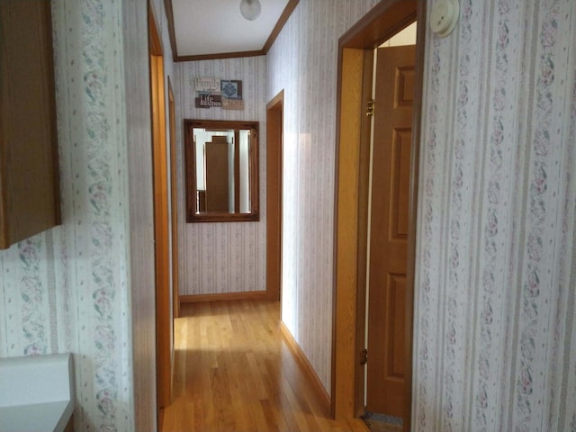 1089 Birch Rd, Alpena, MI 49707 - photo 10