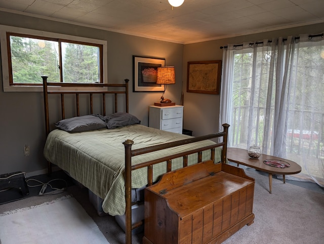20563 S M32, Hillman, MI 49746 - carpeted bedroom with multiple windows and ornamental molding