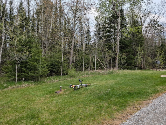 20563 S M32, Hillman, MI 49746 - view of grassy yard