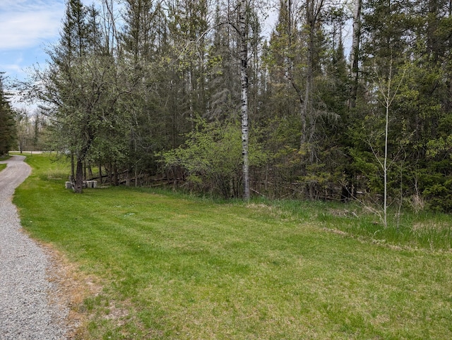 20563 S M32, Hillman, MI 49746 - view of street featuring a forest view