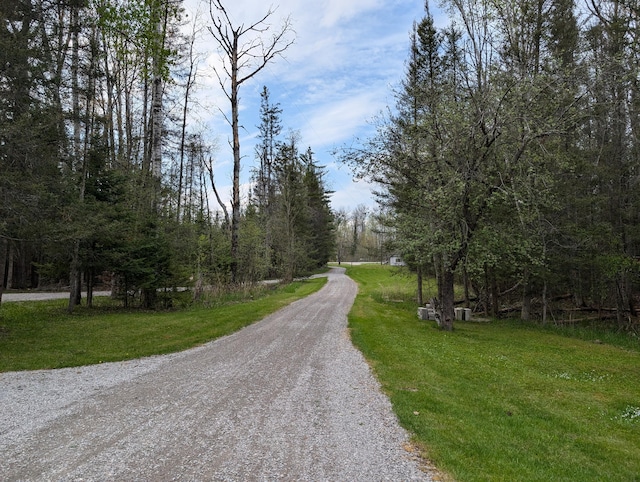 20563 S M32, Hillman, MI 49746 - view of dirt / gravel road