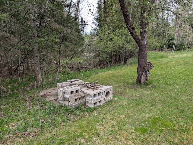 20563 S M32, Hillman, MI 49746 - view of green lawn with a wooded view