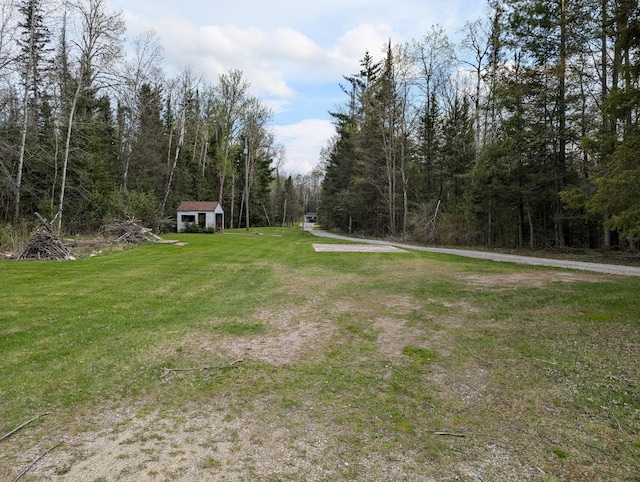 20563 S M32, Hillman, MI 49746 - view of green lawn featuring a view of trees