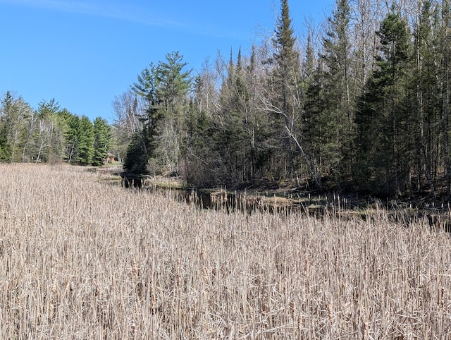 20563 S M32, Hillman, MI 49746 - view of woods