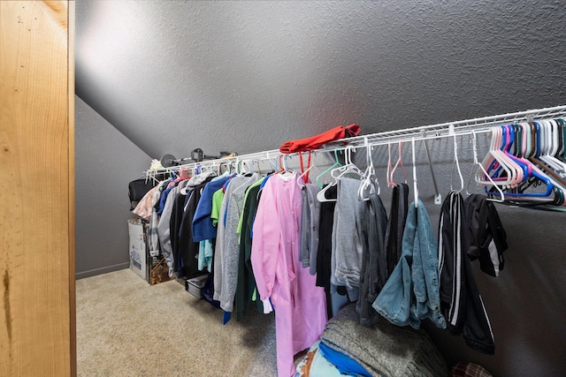 11758 Woodview Trl, Gaylord, MI 49735 - walk in closet with carpet flooring and vaulted ceiling