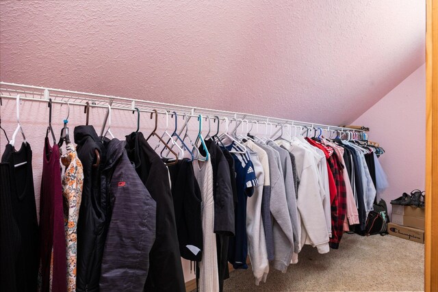 11758 Woodview Trl, Gaylord, MI 49735 - walk in closet with carpet flooring and vaulted ceiling