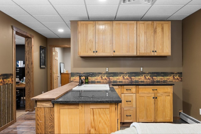 11758 Woodview Trl, Gaylord, MI 49735 - kitchen featuring a sink, a baseboard radiator, wood finished floors, a paneled ceiling, and dark stone countertops
